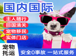 阿坝红原空运国际宠物托运 【国